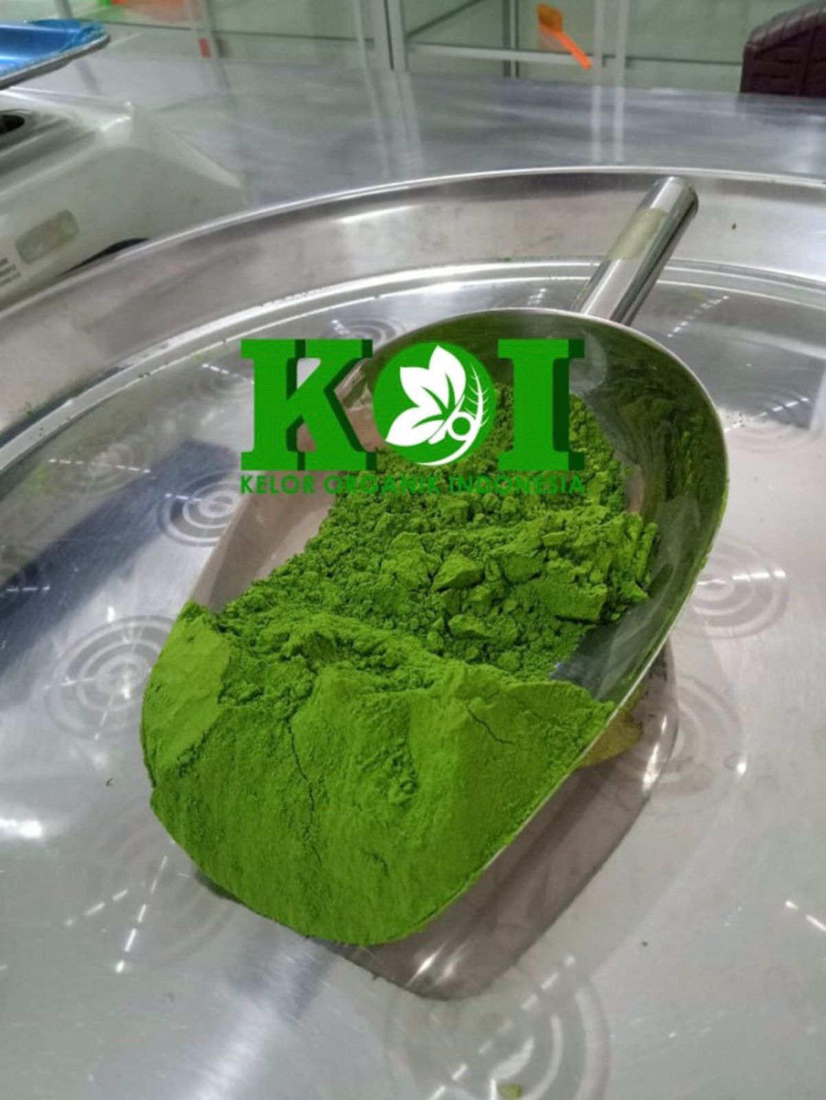 zo-th-1